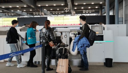 春運保障 白云信科可切換行李托運設備投用,為白云機場春運保駕護航