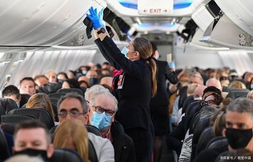 托運是免費的嗎,不同交通工具辦理托運有竅門,用好可節(jié)省費用