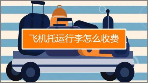 春秋航空托運(yùn)行李怎么收費(fèi)